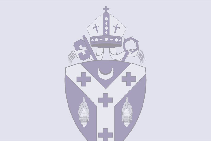 Diocesan Shield Banner