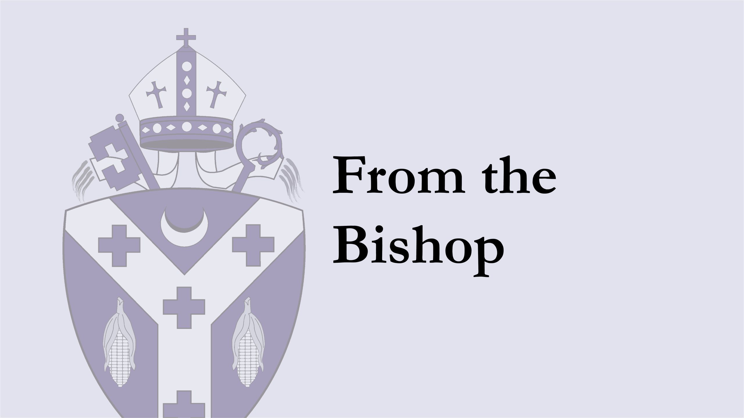 From the Bishop: Pray for the Victims in the Downtown Shooting, February 14, 2024.
