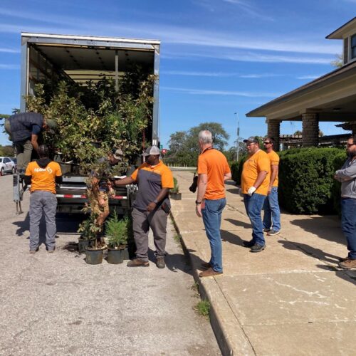 Volunteers dropping off trees