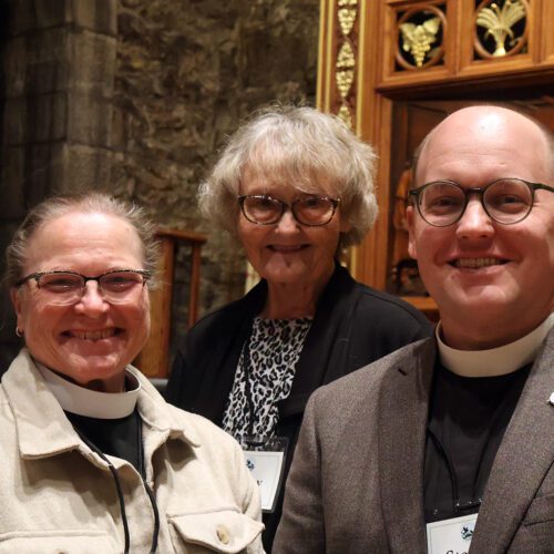 Annual Convention Standing Committee